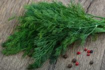 ҒИЗОИ СОЛИМ. Истеъмоли  шибит ба организми инсон чӣ фоида дорад?