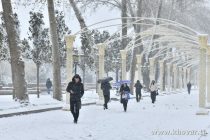 Имрӯз дар баъзе ноҳияҳои Тоҷикистон барф меборад