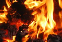 МАСЛИҲАТИ МУТАХАССИС. Истифодаи нодурусти ангишт метавонад боиси заҳролудшавии инсон гардад