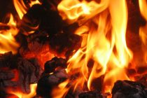 МАСЛИҲАТИ МУТАХАССИС. Истифодаи нодурусти ангишт метавонад боиси заҳролудшавии инсон гардад