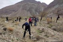 Дар Вилояти Мухтори Кӯҳистони Бадахшон зиёда аз 200 гектар ҷангалзор барқарор карда мешавад