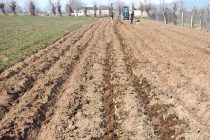 Кишоварзони шаҳри Ҳисор дар 3 ҳазору 772 гектар замини обӣ шудгор гузарониданд