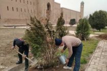 СОЛИ ОБОДОНИЮ СОЗАНДАГӢ. Дар ҳудуди Қасри бостонии Ҳулбук  корҳои ободкорию сабзгардонӣ идома доранд