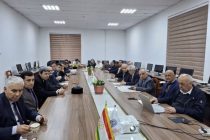 Дар Институти математика масъалаҳои муҳими усулҳои нави таҳқиқотӣ ва натиҷаҳои бадастомада баррасӣ шуданд