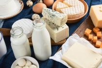 ҒИЗОИ СОЛИМ.  Шир ва маҳсулоти ширӣ муҳимтарин манбаи энергия ба шумор мераванд