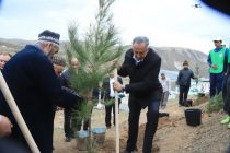 ДАРАХТ БИНШОН! Дар шафати роҳи Бохтар–Душанбе маъракаи ниҳолшинонӣ баргузор гардид