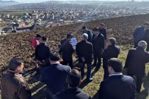 Дар минтақаи Ховарон дар беш аз 7 гектар боғи мевадиҳанда бунёд мегардад