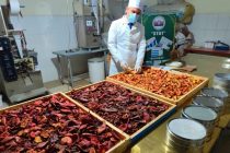 РУШДИ САНОАТИ ФАРМАТСЕВТИИ ВАТАНӢ. Дар Парки технологии Донишгоҳи миллии Тоҷикистон аз пӯсти меваи анор дору тайёр мекунанд