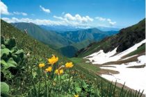 БАҲОРИ ГУЛРЕЗИ ТОҶИКИСТОН. Барои кишоварзон мавсими кишту кор фаро расид