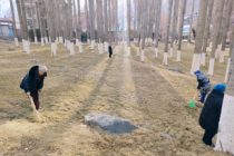 СОЛИ ОБОДОНИЮ СОЗАНДАГӢ. Дар Хоруғ озмунҳои шаҳрӣ ва иқдоми бунёдкорӣ гузаронида мешаванд