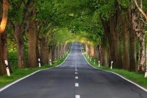 «КАМАРБАНДИ САБЗ». Дар шафати роҳҳои мошингарди Тоҷикистон беш аз 5 миллион бех ниҳол шинонида мешавад