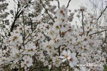 Бунмояҳои  астрономӣ ва космологии ҷашни Наврӯз