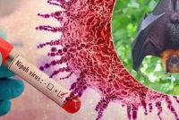 БЕМОРИИ ЗУКОМ. Вазорати тандурустӣ ва ҳифзи иҷтимоии аҳолии Тоҷикистон барои пешгирии вирусҳои гуногун чӣ тадбирҳо меандешад?