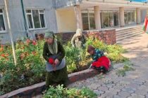 «ЗАН-МАЗҲАРИ ПОКИЗАГӢ». Аз 1 март то 31 май иқдоми ҷумҳуриявии ободкорию тозакорӣ баргузор мегардад