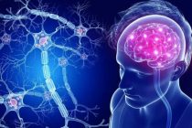 МАСЛИҲАТИ МУТАХАССИС. Фаромӯшхотирӣ дар калонсолон ба тағйироти синнусолӣ вобаста аст