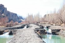 Дар Суғд соҳаи моҳипарварӣ рушд намудааст