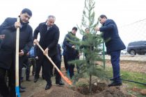 Дар канори шоҳроҳи мошингарди Данғара–Душанбе  беш аз 4000 бех ниҳол  шинонида шуд