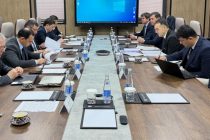 Татбиқи лоиҳаи «Азнавпайвастшавӣ ба низоми ягонаи энергетикии Осиёи Марказӣ»  баррасӣ гардид