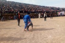 Дар   ноҳияи  Ёвон  мусобиқаи  гӯштини  миллӣ  (гӯштингирӣ) баргузор гардид