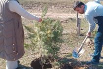 СОЛИ ОБОДОНИВУ СОЗАНДАГӢ. Дар ҳудуди ёдгориҳои таърихии ноҳияи Данғара ҳашари тозагӣ ва сабзкорӣ гузаронида шуд