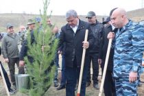 Дар заминҳои бекорхобидаи теппаҳои деҳаи Шодоби ноҳияи Варзоб боғи намунавӣ бунёд карда шуд