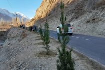 ДАРАХТ БИНШОН! Дар шафати роҳҳои мошингарди Ванҷ беш аз 2000  бех ниҳол шинонида шуд