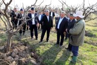 Муовини Сарвазири Тоҷикистон бо вазъи соҳаи кишоварзӣ дар Ҳисор, Турсунзода ва Шаҳринав шинос шуд