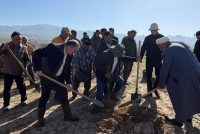 Дар минтақаи ҷангалпарварии ноҳияи Рӯдакӣ зиёда аз 30 ҳазор бех ниҳол шинонида шуд