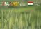 Душанбе мизбони Конфронси 35-уми Созмони озуқаворӣ ва кишоварзии СММ мегардад
