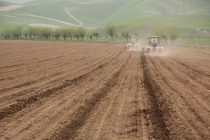 Дар шаҳри Кӯлоб кишти пунбадона оғоз гардид