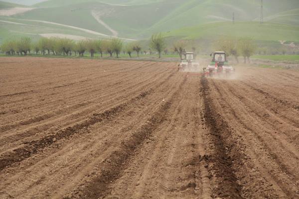 Дар шаҳри Кӯлоб кишти пунбадона оғоз гардид