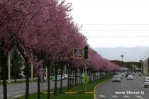 Имрӯз дар баъзе минтақаҳои Тоҷикистон рӯзона борони кӯтоҳмуддат меборад