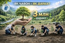 «ЯК ҶАВОН — ЯК ДАРАХТ». Ин ташаббус ба ҳифзи табиат, ҷомеа ва ояндаи сабзи Тоҷикистон равона шудааст