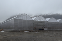 Дар ноҳияи Шуғнон шумораи гармхонаҳои муосир афзоиш меёбад