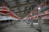 35-СОЛАГИИ ИСТИҚЛОЛИ ДАВЛАТӢ. Дар ноҳияи Восеъ сохтмони иншооти таъйиноти гуногун идома дорад