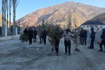 ДАРАХТ БИНШОН! Дар ноҳияи  Айнӣ  қариб 3000 бех ниҳол шинонида шуд