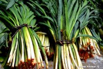 Табиат мекунад моро табобат!  Сиёҳалаф дорои витаминҳои  табиӣ мебошад