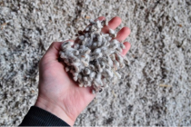 ТУХМИПАРВАРӢ. Барои рушди ин соҳа чӣ бояд кард?