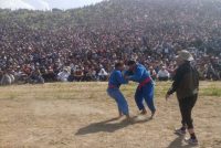 Мусобиқаи гӯштини миллӣ (гӯштингирӣ) дар шаҳри Турсунзода дар сатҳи баланд доир гардид