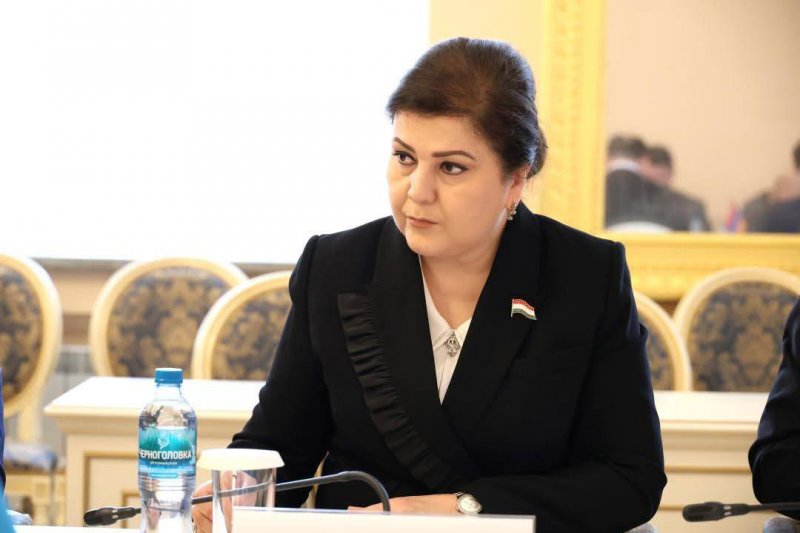 Барно Саидвализода дар ҷаласаи Комиссияи доимии Ассамблеяи байнипарлумонии давлатҳои иштирокдори ИДМ оид ба илм ва маориф иштирок намуд