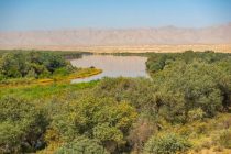 Дар мамнуъгоҳи «Бешаи палангон» тадбирҳои беҳдошти ҳолати гидрологӣ амалӣ гардиданд