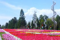 Имрӯз дар Душанбе ҳаво то 22 дараҷа гарм мешавад