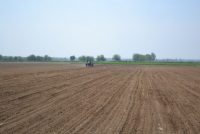 Дар ноҳияи Мастчоҳ дар беш аз 12 ҳазор гектар пунбадона кишт карда мешавад