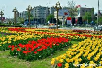 Имрӯз дар шаҳри Душанбе ҳаво то 38 дараҷа гарм мешавад