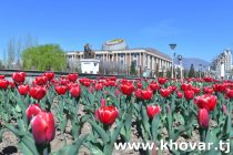 Имрӯз дар шаҳри Душанбе ҳаво то 21 дараҷа гарм мешавад