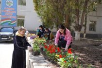 СОЛИ ОБОДОНИЮ СОЗАНДАГӢ. Дар шаҳри Хоруғ беш аз 5 ҳазор гул шинонида шуд