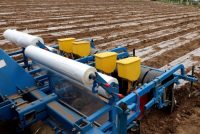 Кишти зериплёнкавии пунбадона аз усулҳои муосири агротехникӣ ба ҳисоб меравад