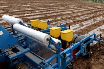 Кишти зериплёнкавии пунбадона аз усулҳои муосири агротехникӣ ба ҳисоб меравад