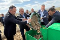 Муовини Сарвазири Тоҷикистон дар ноҳияи Шаҳристон бо  ҳолати кишти картошка шинос шуд