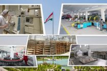 Дар Хатлон ҳаҷми истеҳсоли маҳсулоти саноатӣ ба 2,9 миллиард сомонӣ расид